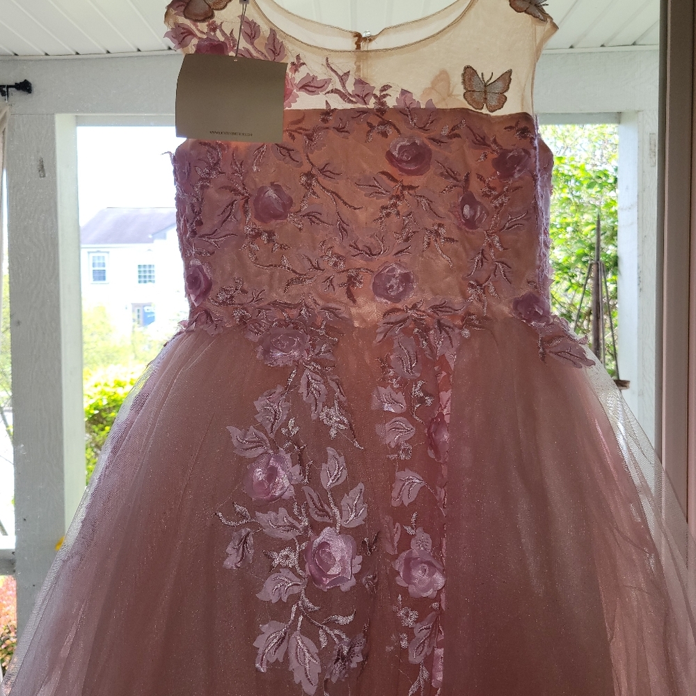 LanTing Pink Butterfly Appliqué Prom Dress
